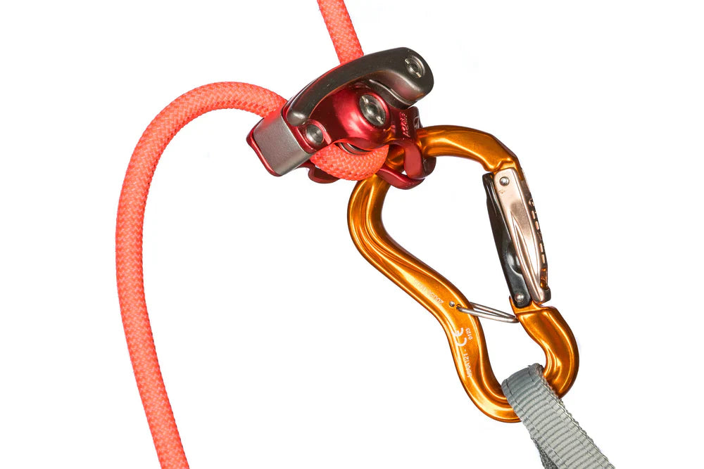 K10G CLEPSYDRA