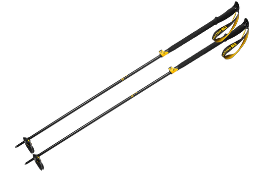 SKI TOUR VARIO