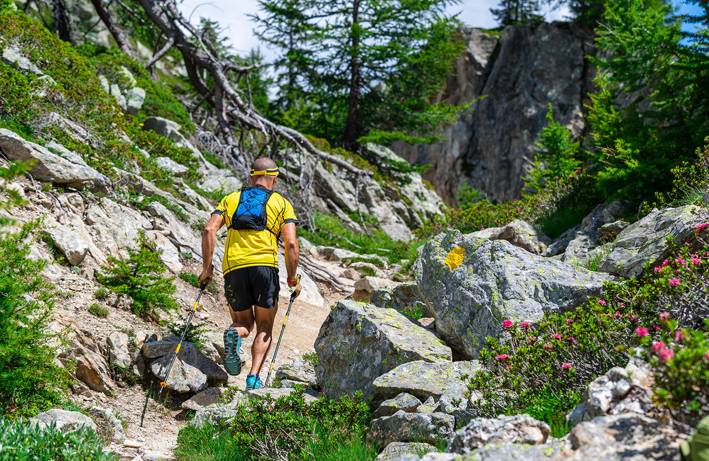 Trail 3 Knee System